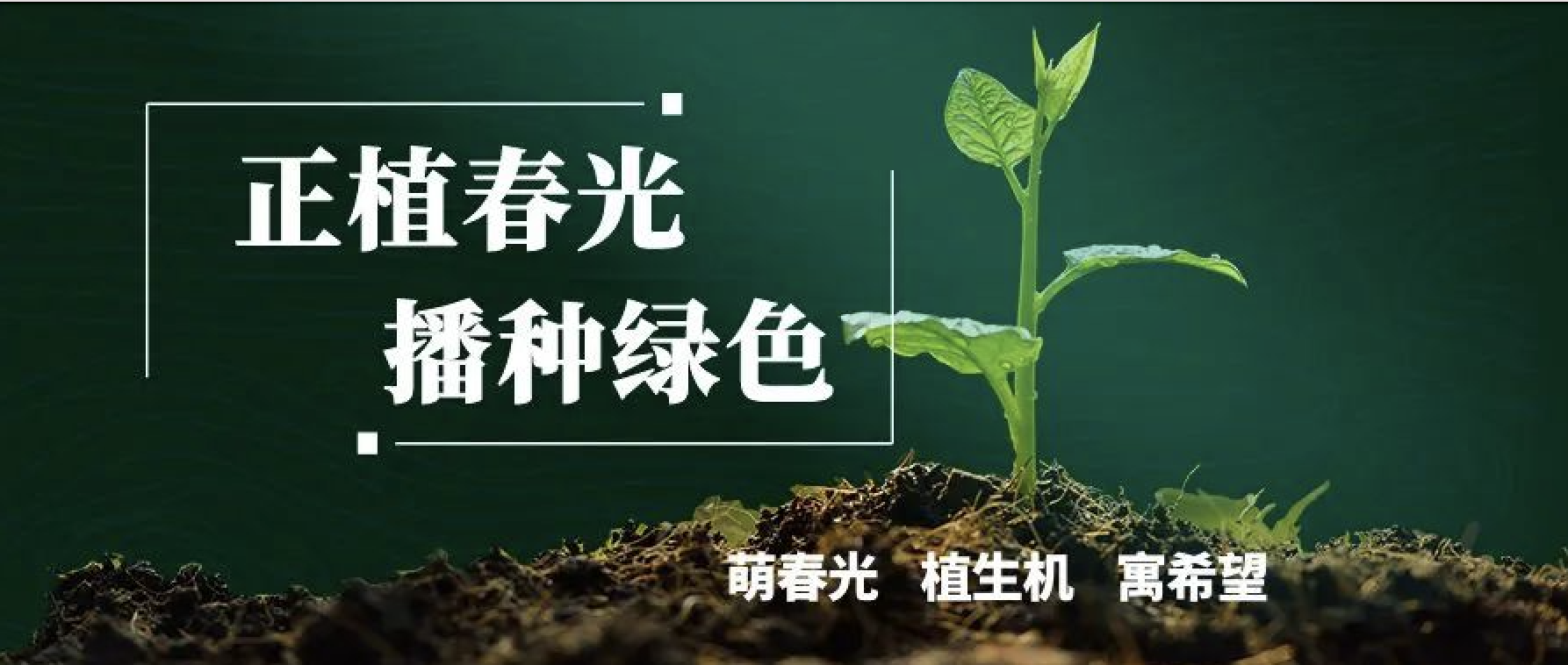 拥抱美狮贵宾会，共植美好