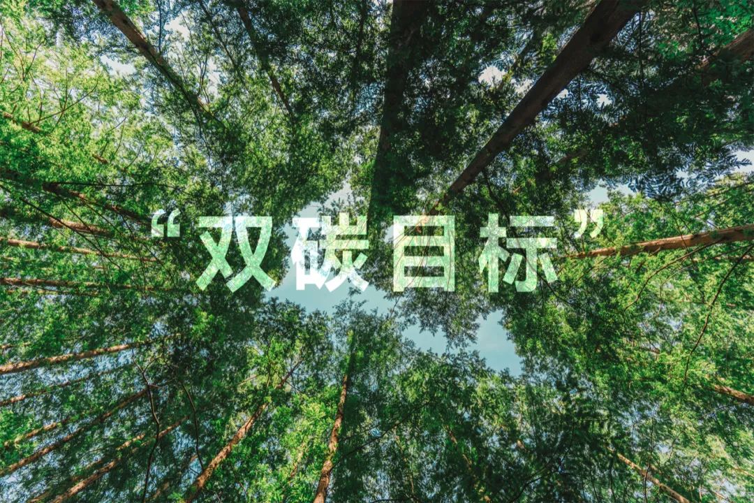 聚焦“双碳”未来 东旭美狮贵宾会深化光伏业务战略布局