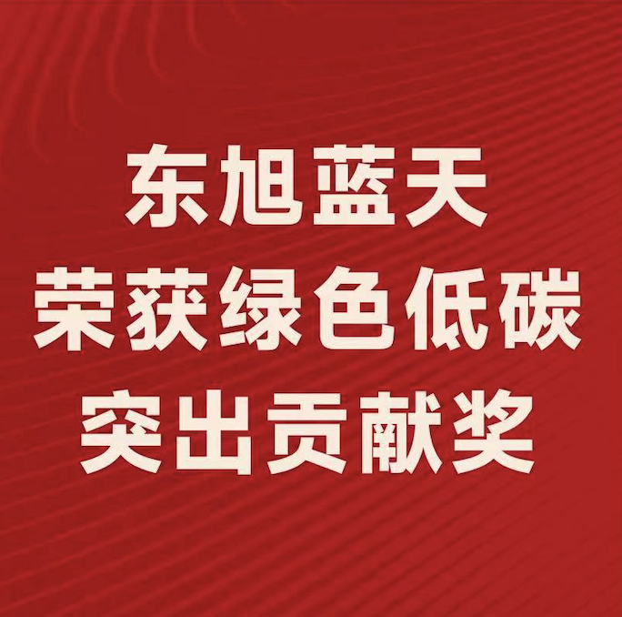 喜报〡东旭美狮贵宾会斩获“2022年度绿色低碳突出贡献奖”